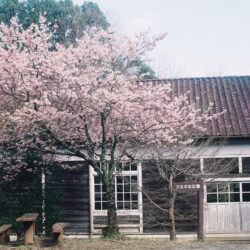 旧福沢小学校